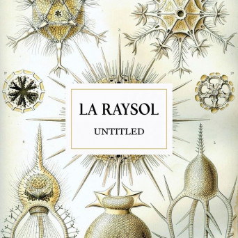 La Raysol – Untitled