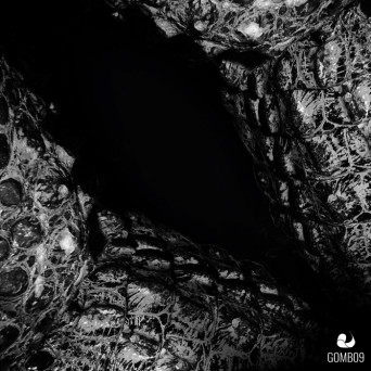 Deep Dimension – Gabbers On Acid