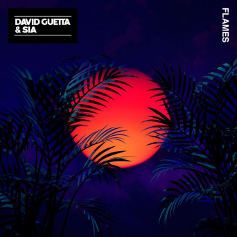 David Guetta feat. Sia – Flames
