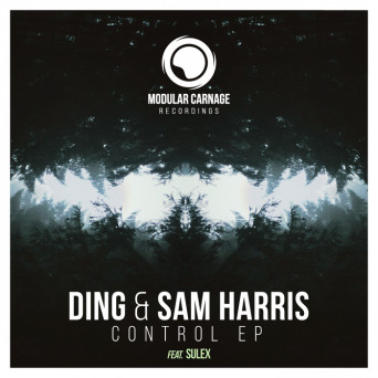 Ding & Sam Harris – Control