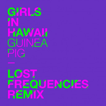 Girls in Hawaii – Guinea Pig (Lost Frequencies Remix)