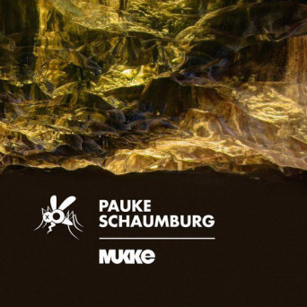 Pauke Schaumburg & Animal Swing Kids – Transit