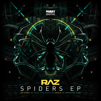 Raz – Spiders