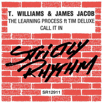 T. Williams & James Jacob Feat. Tim Deluxe – The Learning Process