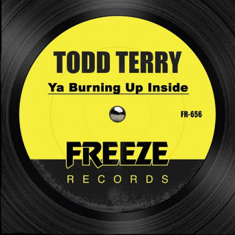 Todd Terry – Ya Burning Up Inside