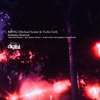 Violin Girl, MSVG & Michael Scalar – Neshama Remixed
