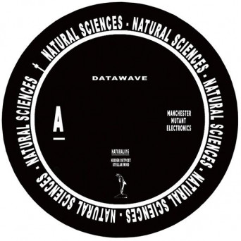 Datawave – Datawave