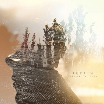 Ruxpin – Fields of View