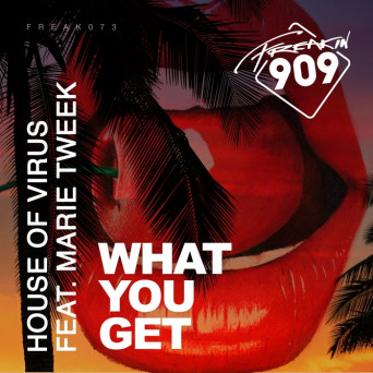 House Of Virus – What You Get