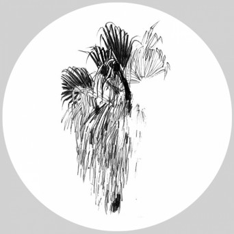Cody Currie – Peach Fuzz