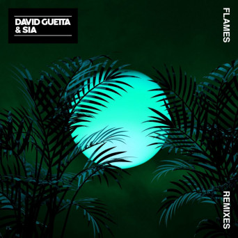 David Guetta & Sia – Flames (The Remixes)