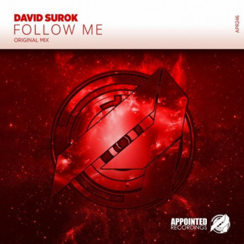 David Surok – Follow Me