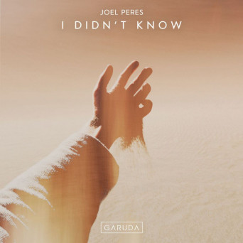 Joel Peres – I Didn’t Know