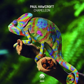 Paul Hawcroft – Chameleon