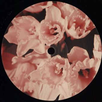 Physical Therapy – Buttercup