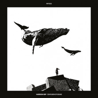 Harrison BDP ‎– Confusion Of Sound EP