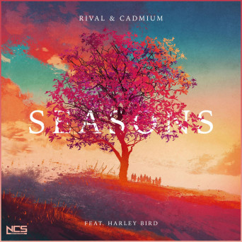 Rival & Cadmium & Harley Bird – Seasons