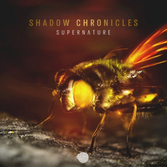 Shadow Chronicles – Supernature