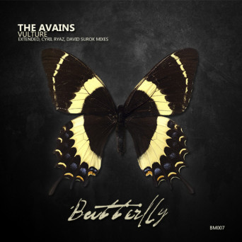 The Avains – Vulture