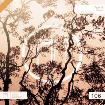 Type B – Forest