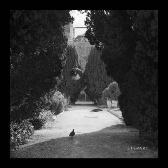 Stepart – The Curve