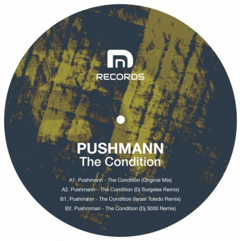PUSHMANN – The Condition