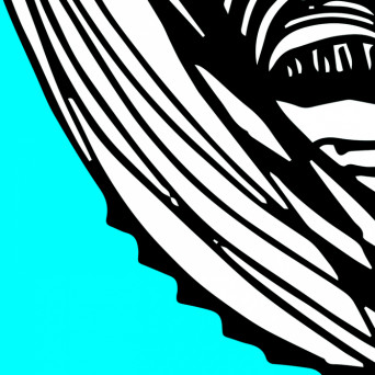 Suanne&Viana – Nomaxte