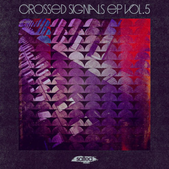 Salted Music: Crossed Signals EP, Vol. 5