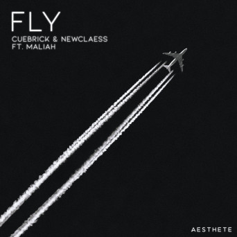Cuebrick & Newclaess feat. Maliah – Fly