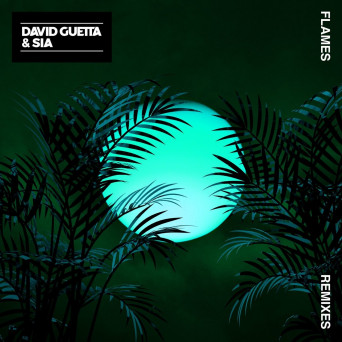 David Guetta & Sia – Flames (Remix EP 2)