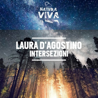 Laura D’Agostino – Intersezioni