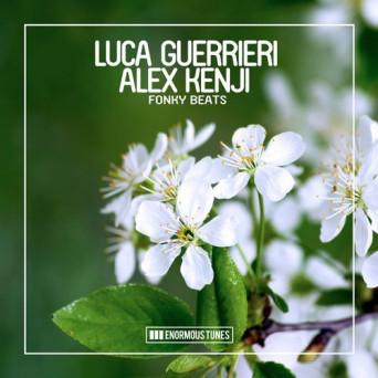 Luca Guerrieri & Alex Kenji – Fonky Beats