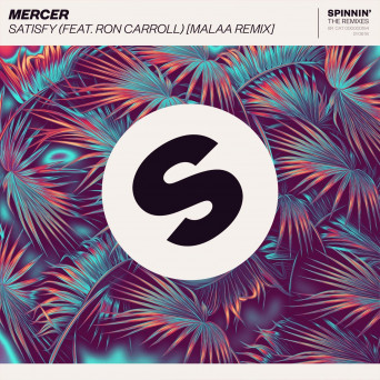 MERCER feat. Ron Carroll – Satisfy (Malaa Remix)