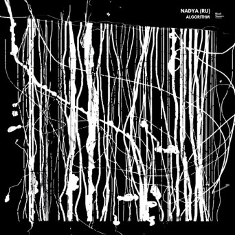 Nadya (RU) – Algorithm