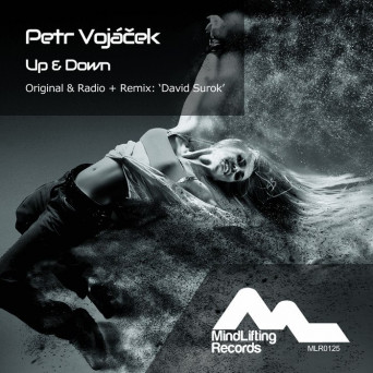 Petr Vojáček – Up & Down