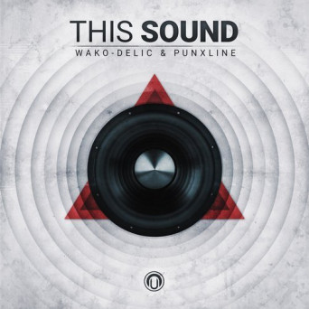 Punxline & Wako-Delic – This Sound