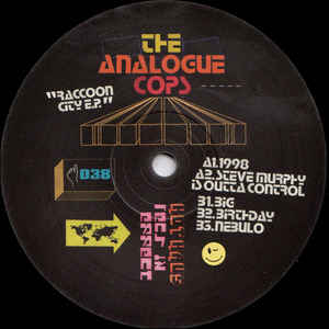The Analogue Cops – Racoon City