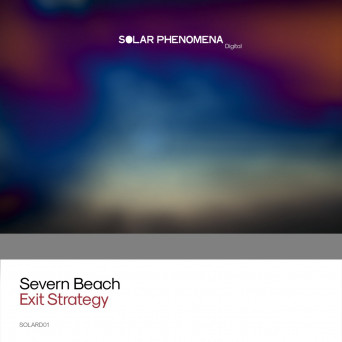 Severn Beach – Exit Strategy