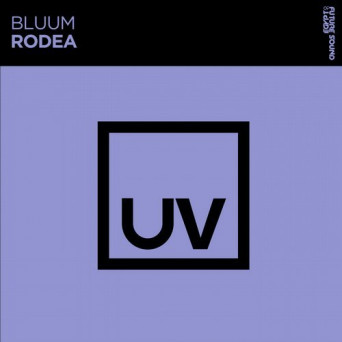 Bluum – Rodea
