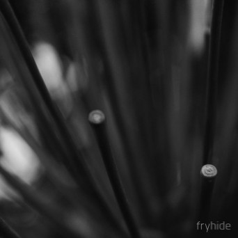 Tone Depth – The Odyssey Part 2