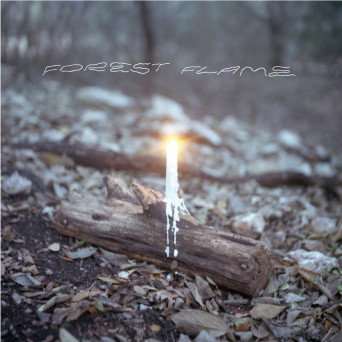 Shea – Forest Flame