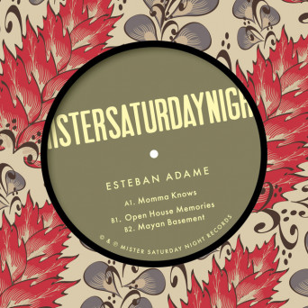 Esteban Adame – Mayan Basement