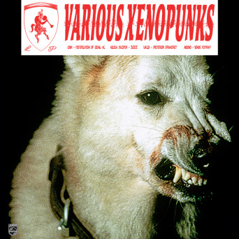 VA – Various Xenopunks EP