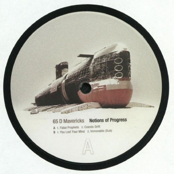 65D Mavericks – Notions of Progress