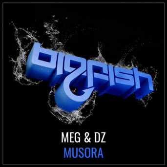 DJ M.E.G. & DZ – Musora