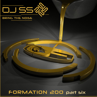 DJ SS – Bring the Noise