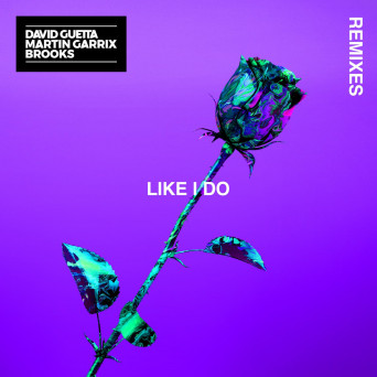 David Guetta, Martin Garrix & Brooks – Like I Do (Remixes)
