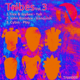 Jaybee, Trex, John Rolodex, Cybin – Tribes Vol. 3