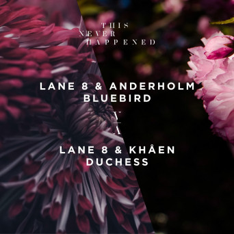 Lane 8, Anderholm, Khåen – Bluebird / Duchess