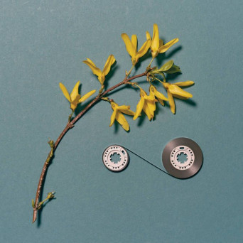 Marcus Fischer & Simon Scott – Shape Memory
